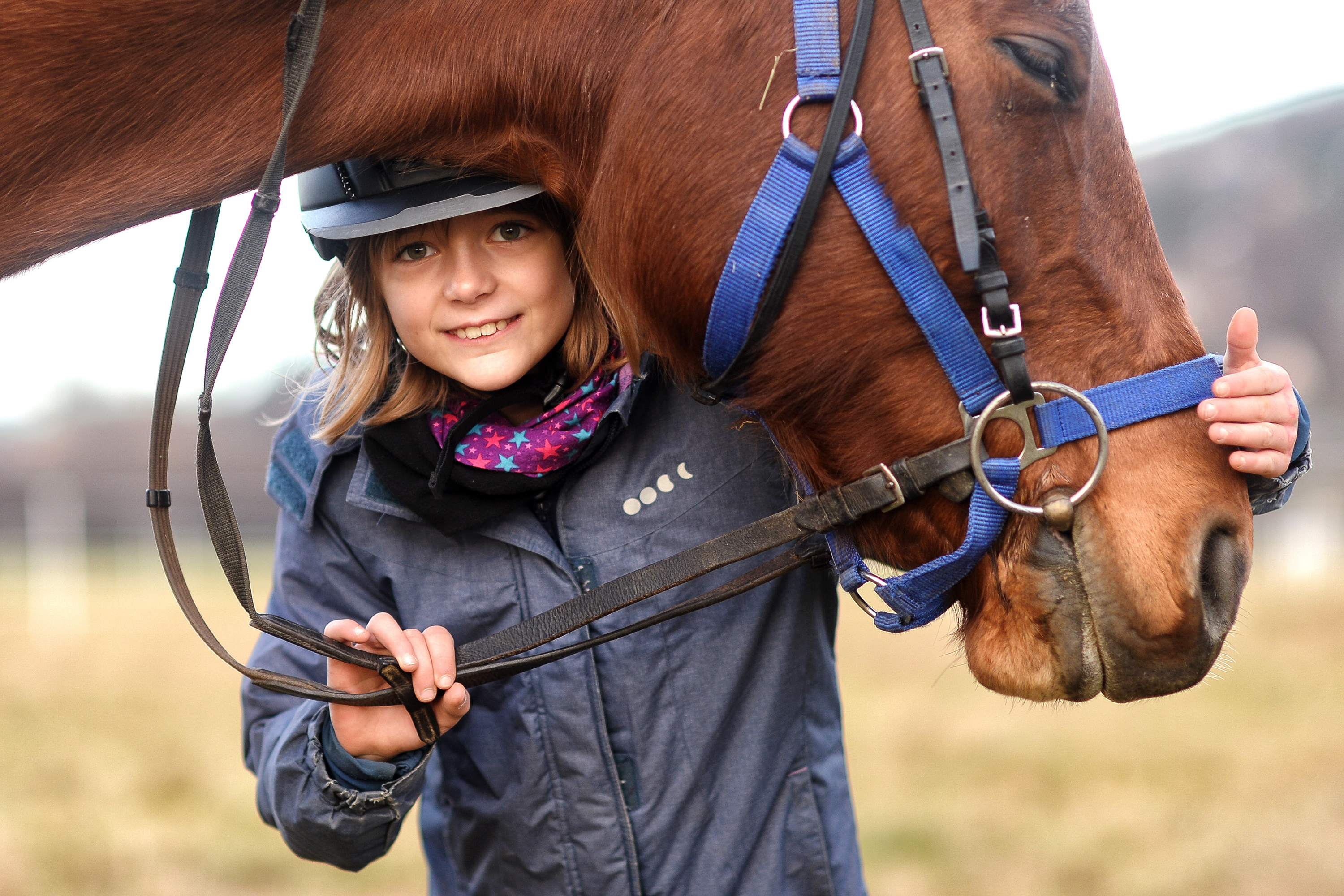 Cours d'équitation