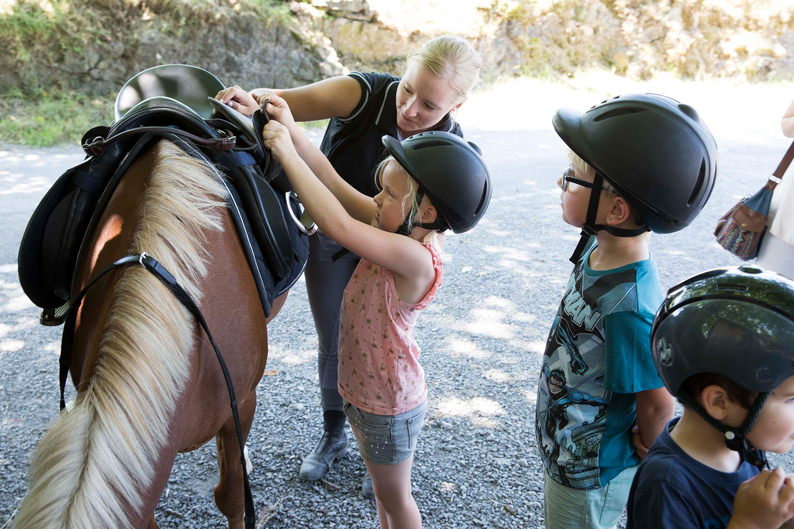 Pony-Club